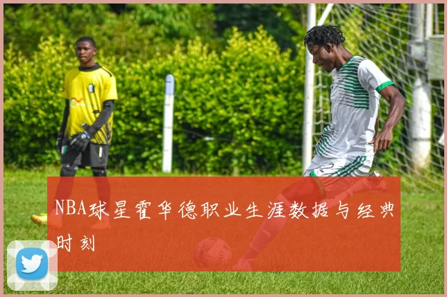 NBA球星霍华德职业生涯数据与经典时刻