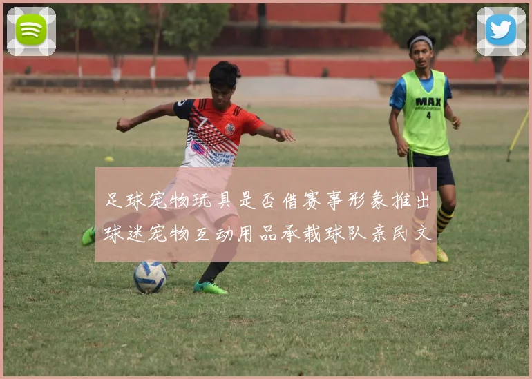 足球宠物玩具是否借赛事形象推出球迷宠物互动用品承载球队亲民文化