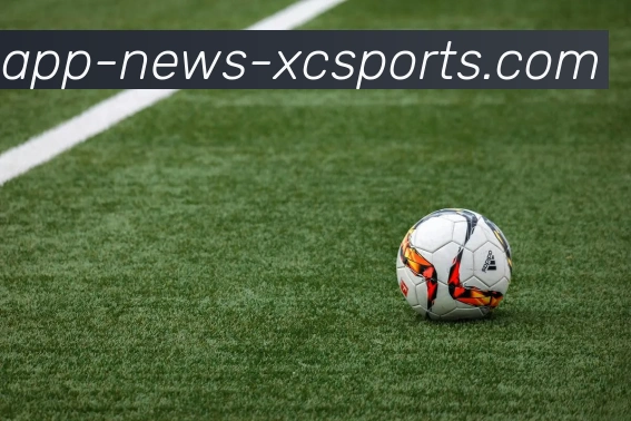 杏彩体育品牌故事