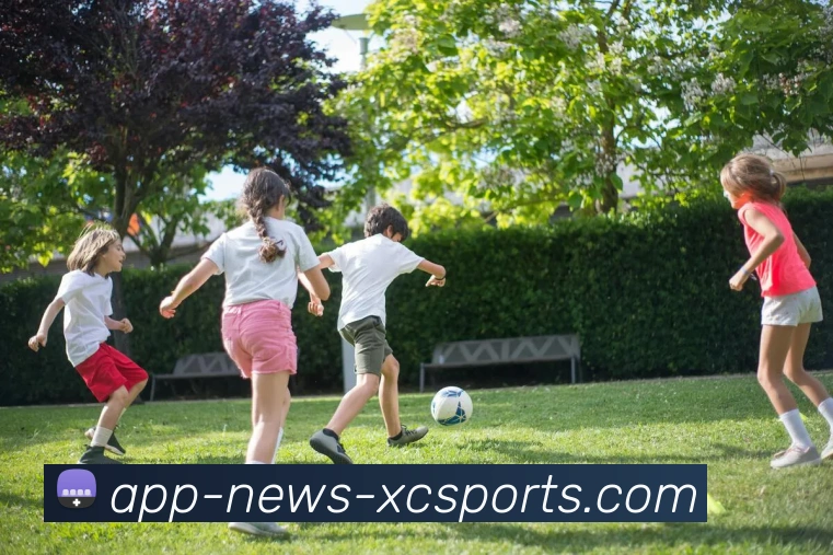 杏彩体育服务体系