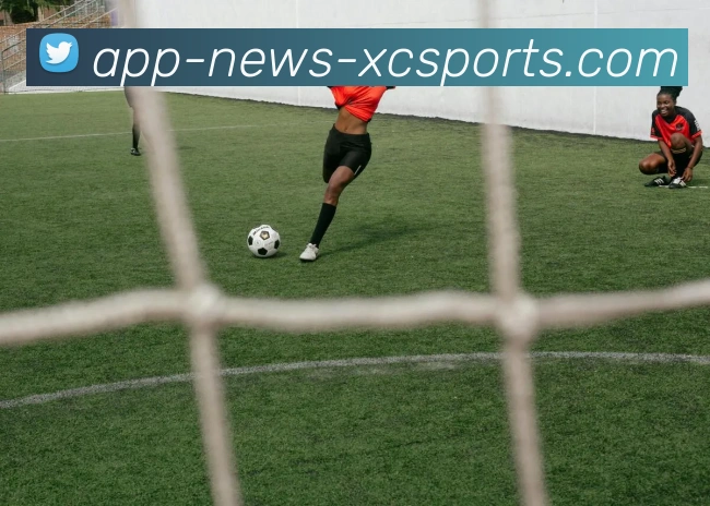 杏彩体育APP 体育赛事宣传图